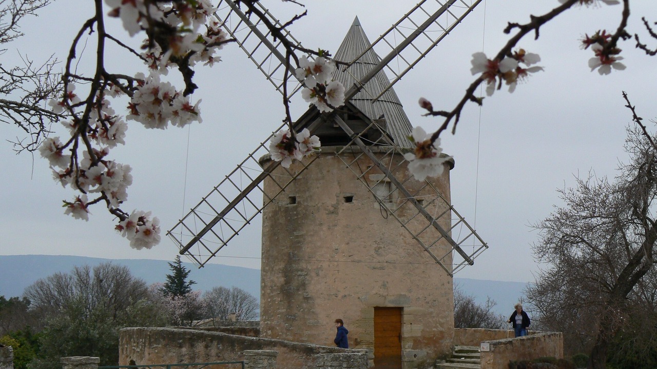 Photo of Others in Castellet