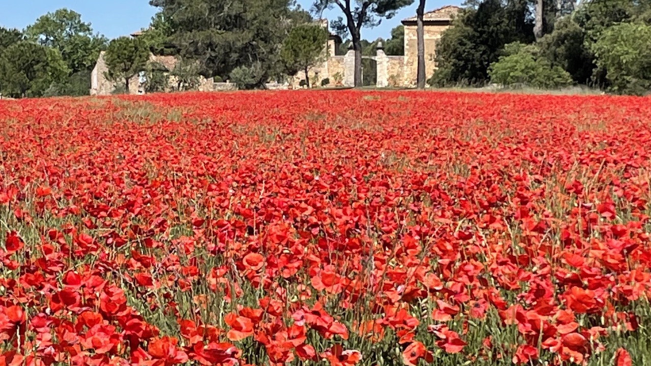 Photo of Outdoor in Gargas