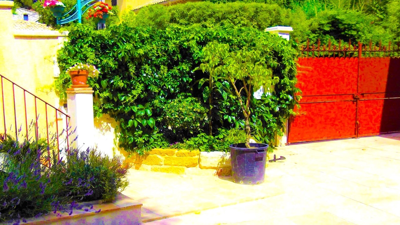 Photo of Outdoor in Vedene