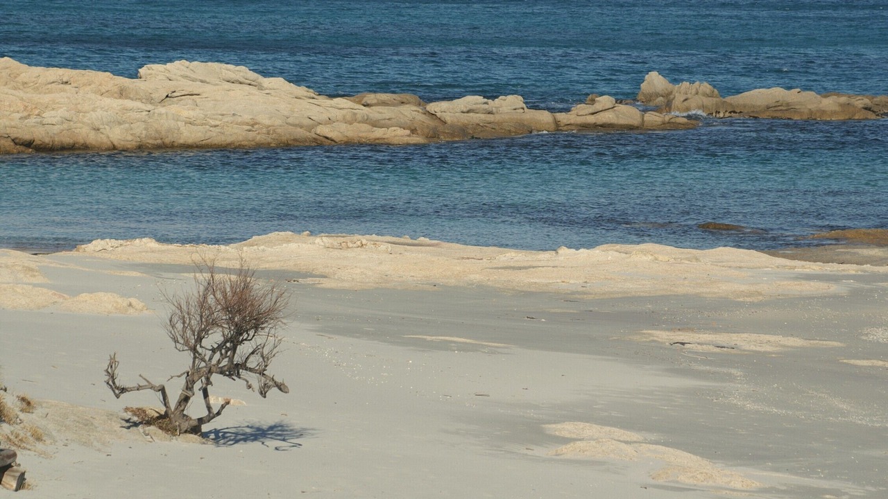 Photo of Others in Ramatuelle