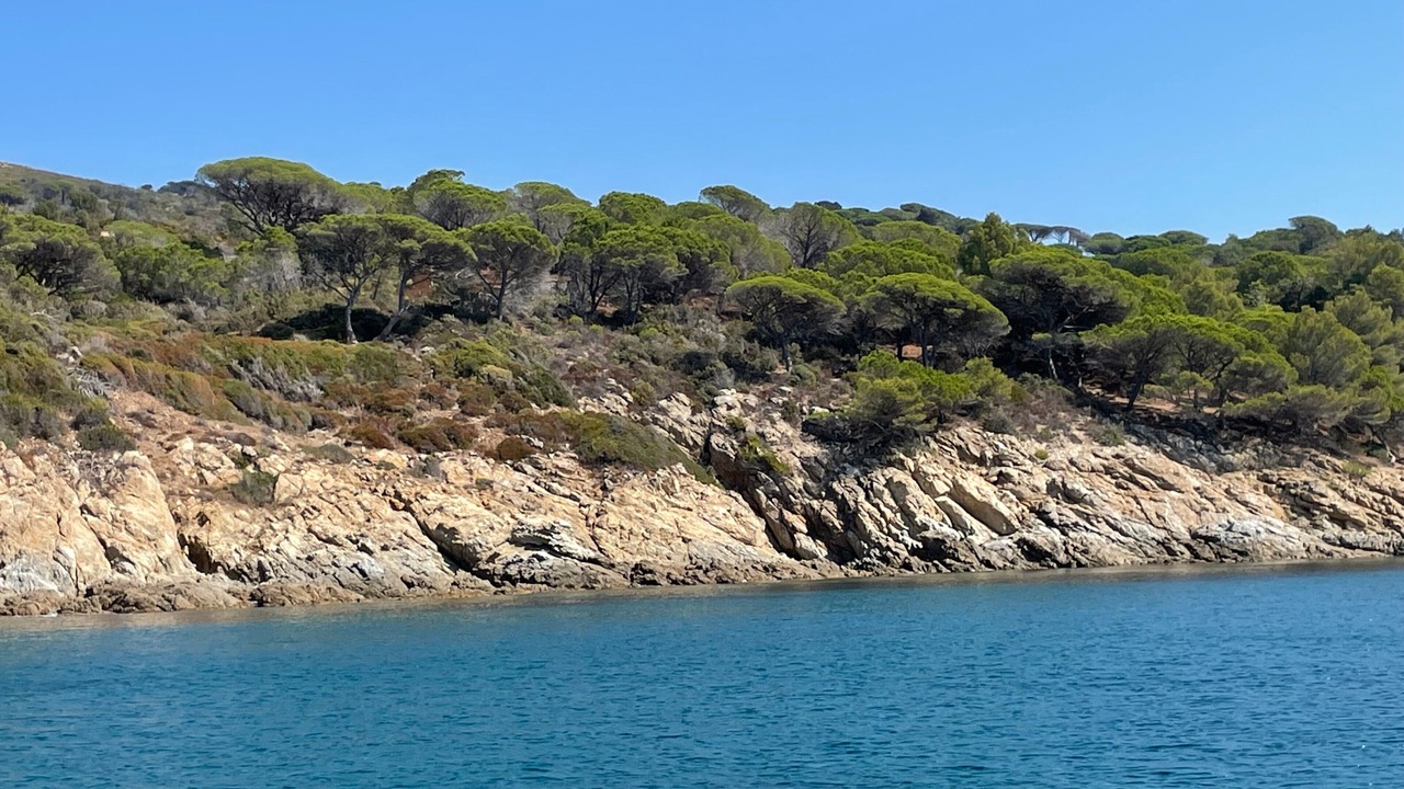 Photo of Others in Ramatuelle