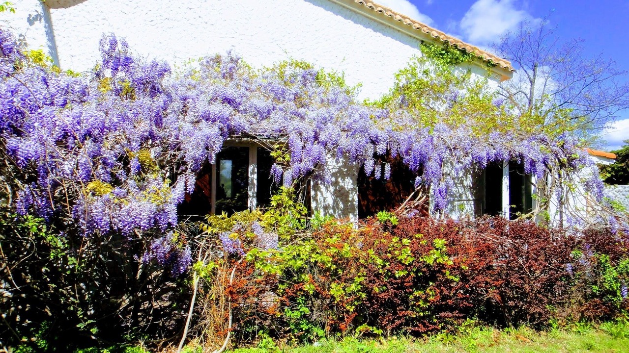 Photo of Outdoor in Castelnau-le-Lez