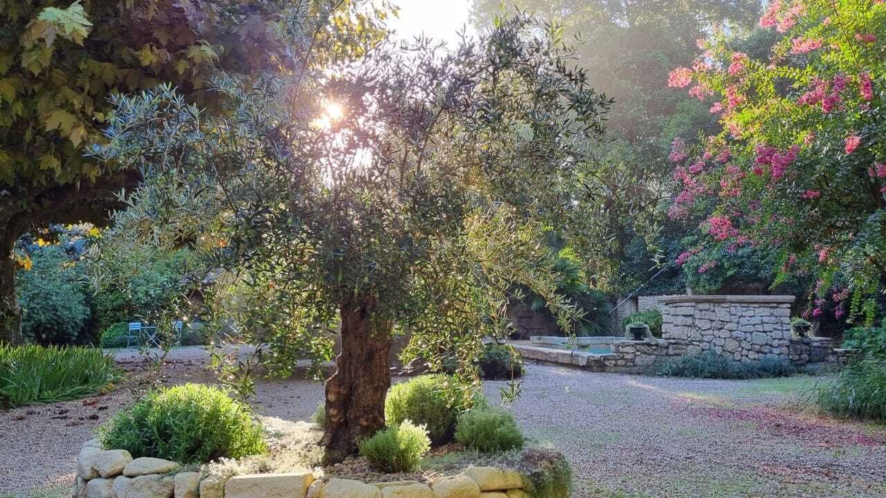 Photo of Outdoor in St.-Remy-de-Provence