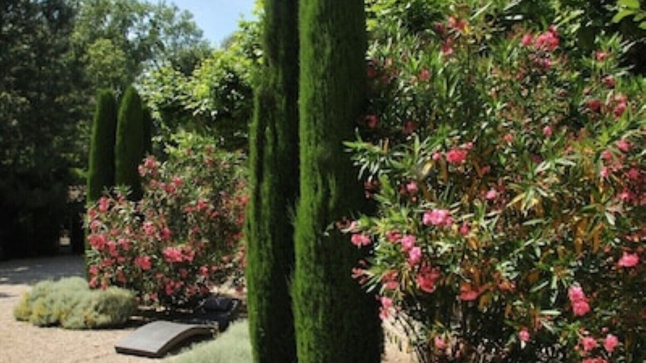 Photo of Outdoor in St.-Remy-de-Provence