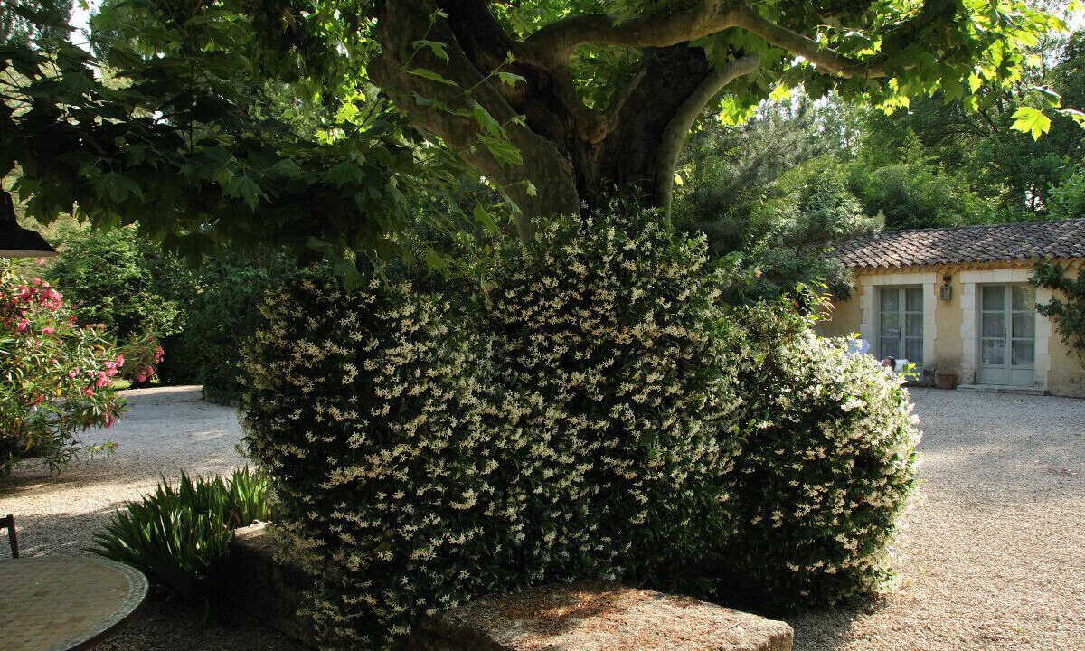 Photo of Outdoor in St.-Remy-de-Provence