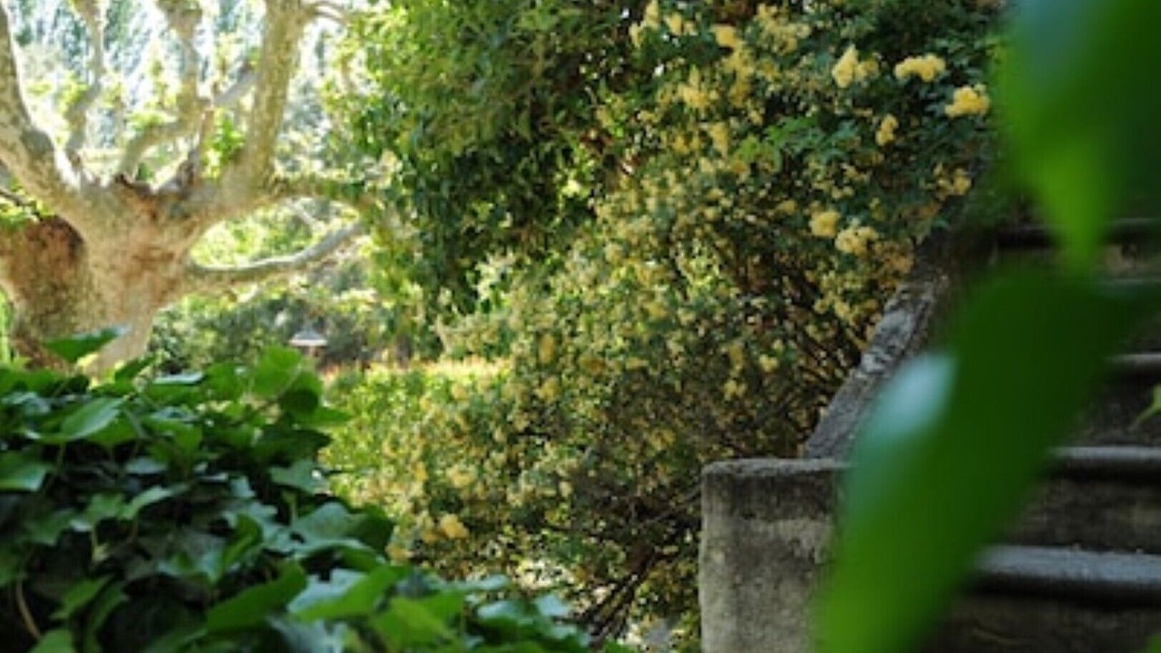 Photo of Outdoor in St.-Remy-de-Provence