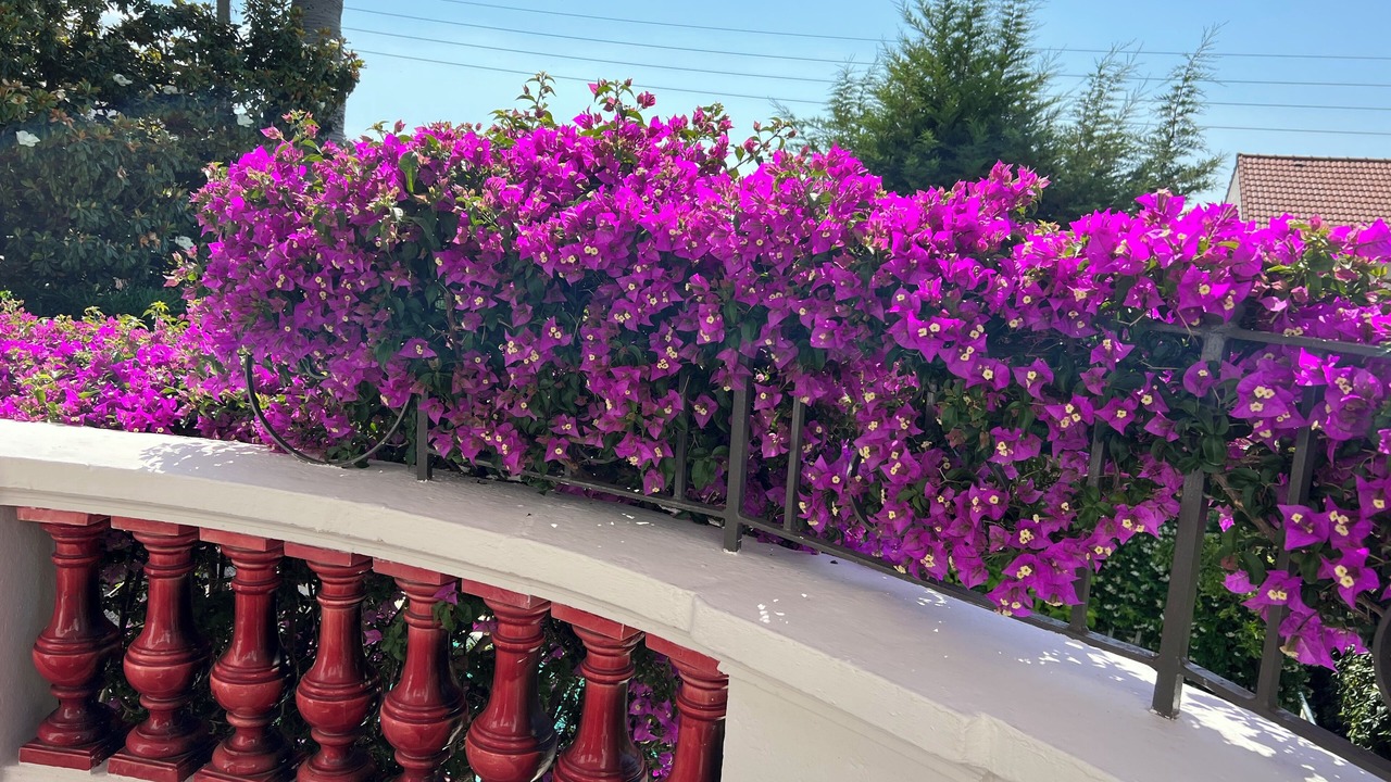 Photo of Outdoor in Riou - Petit Juas - Av de Grasse
