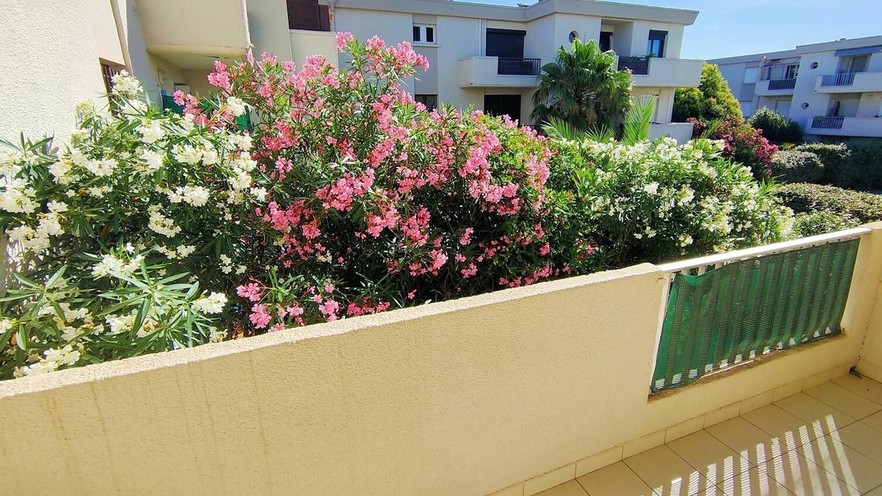 Photo of Outdoor in Les Arenes