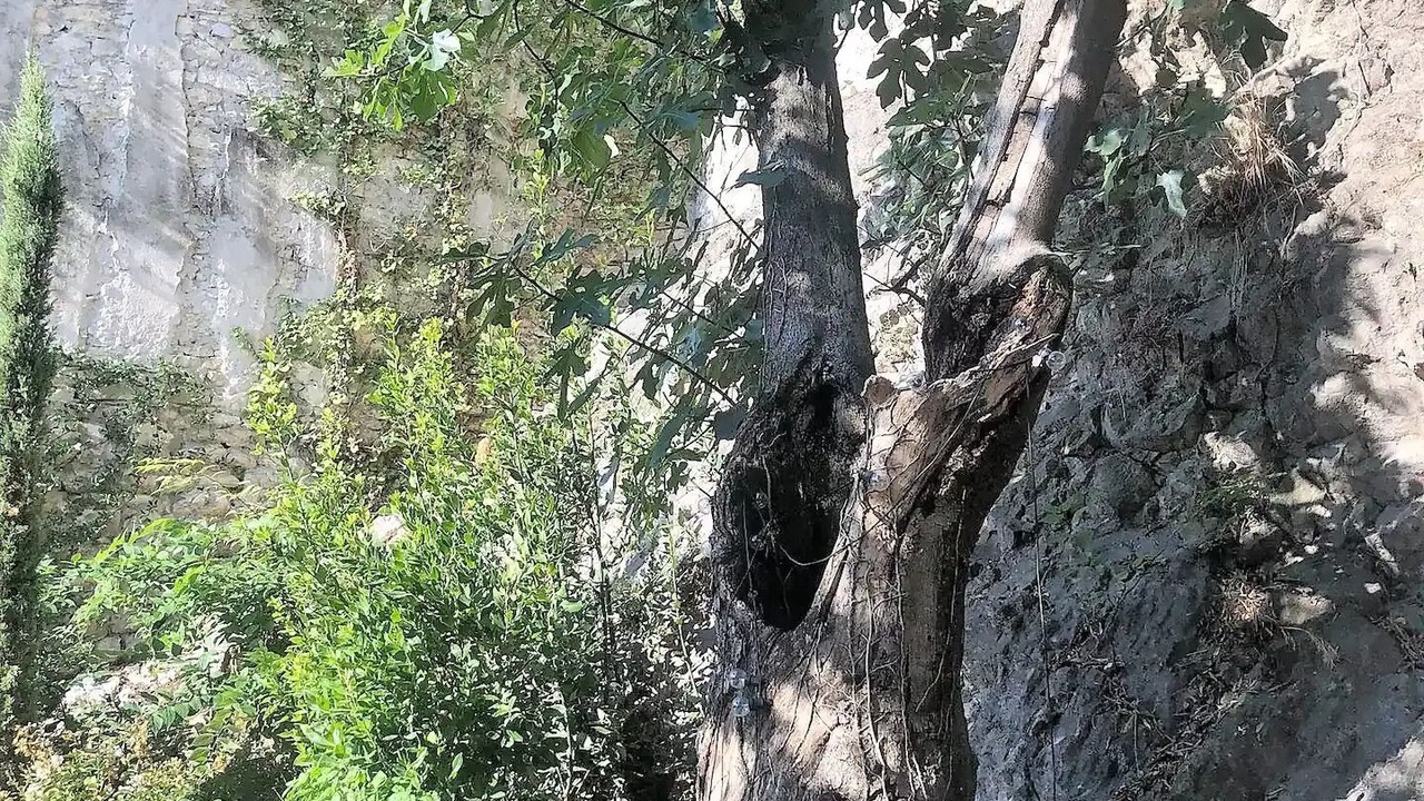 Photo of Outdoor in Avignon City Centre