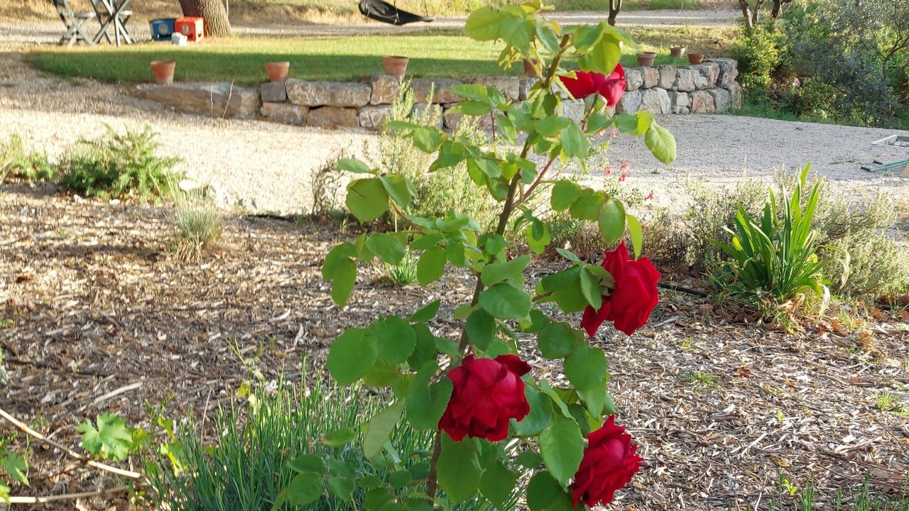 Photo of Outdoor in Ventabren