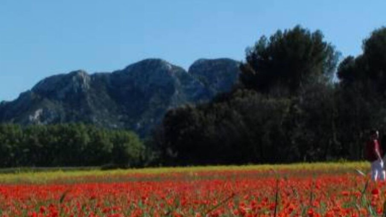 Photo of Outdoor in Velleron