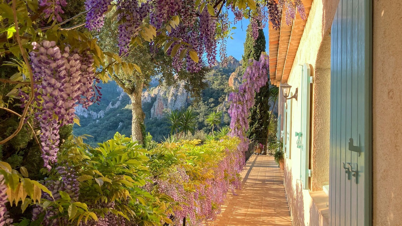 Photo of Bedroom in St. Jean de l’Esterel