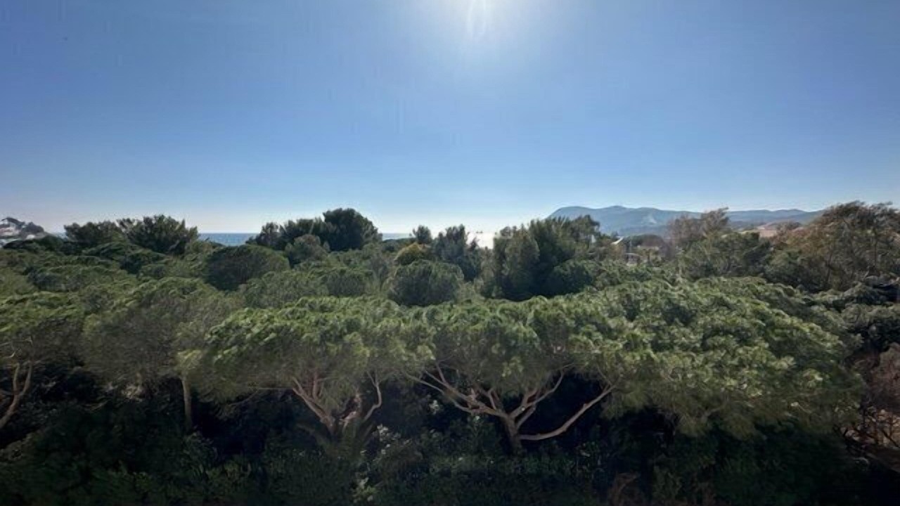 Photo of Outdoor in Les Sablettes
