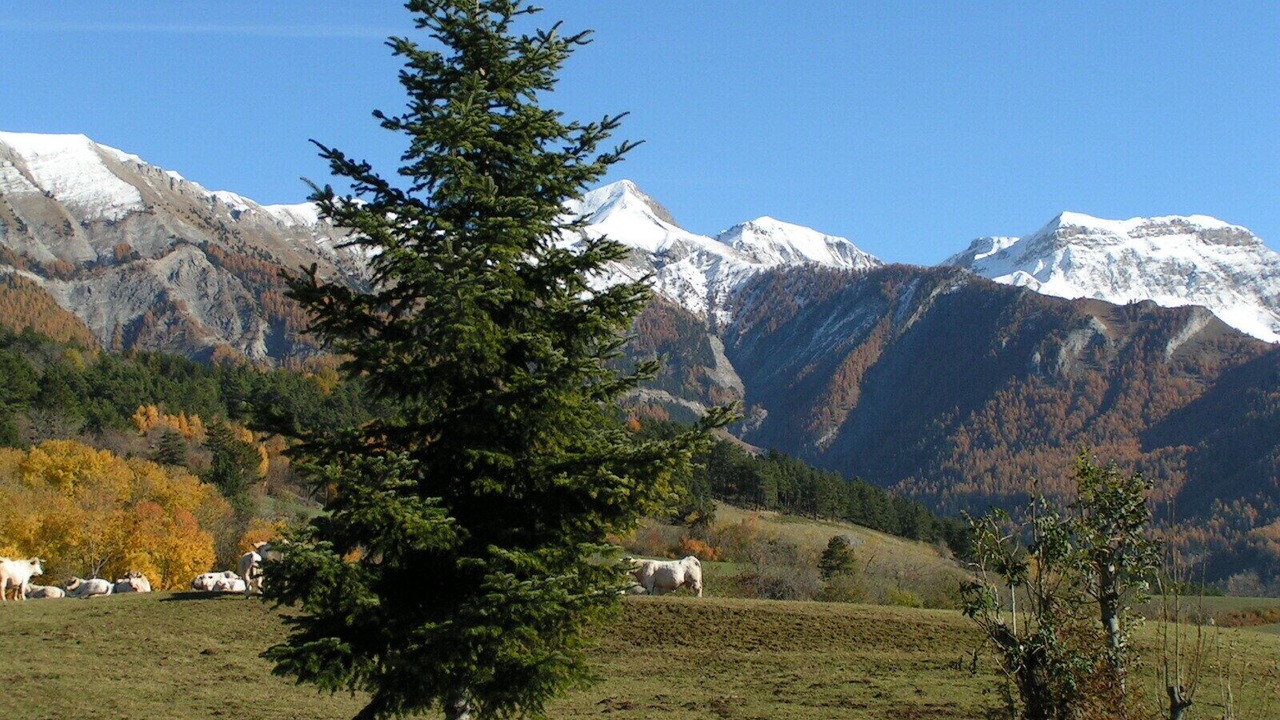 Photo of Outdoor in Seyne