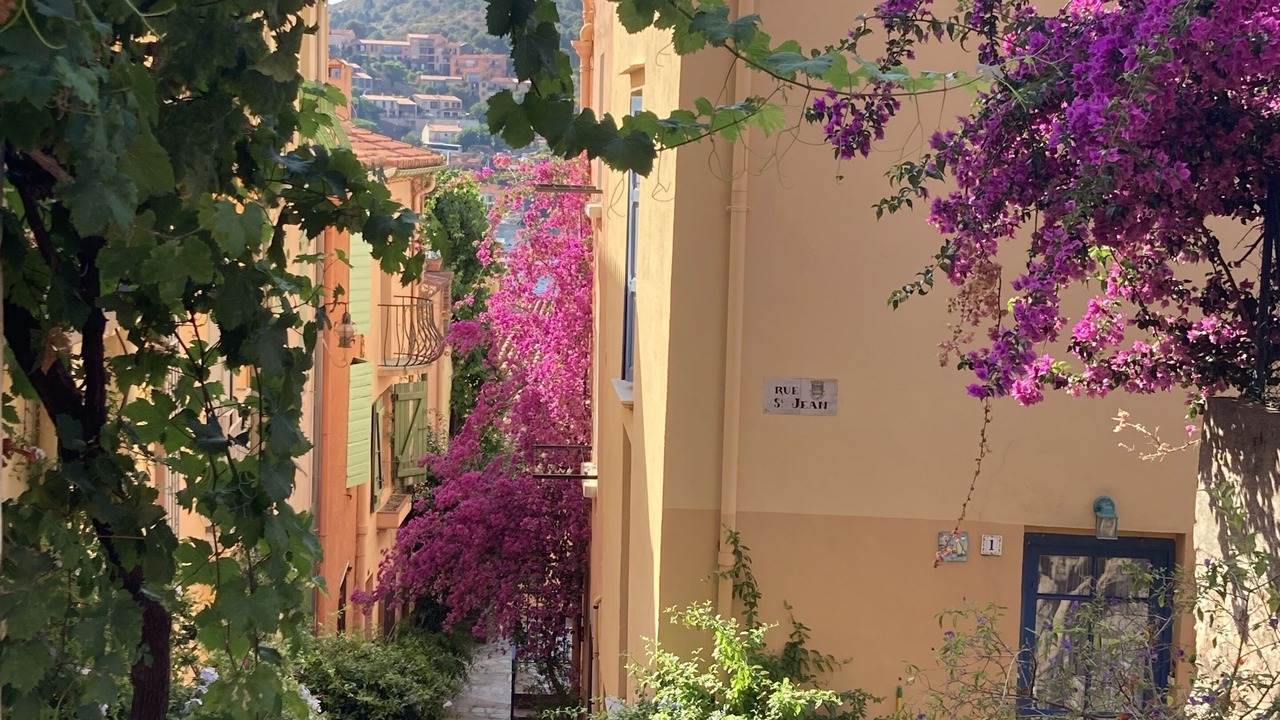 Photo of Outdoor in Villelongue-de-la-Salanque