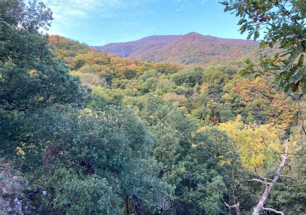 Photo of Outdoor in Villelongue-de-la-Salanque