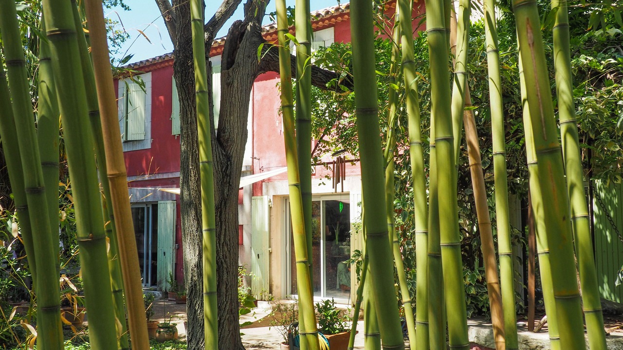 Photo of Outdoor in Arles