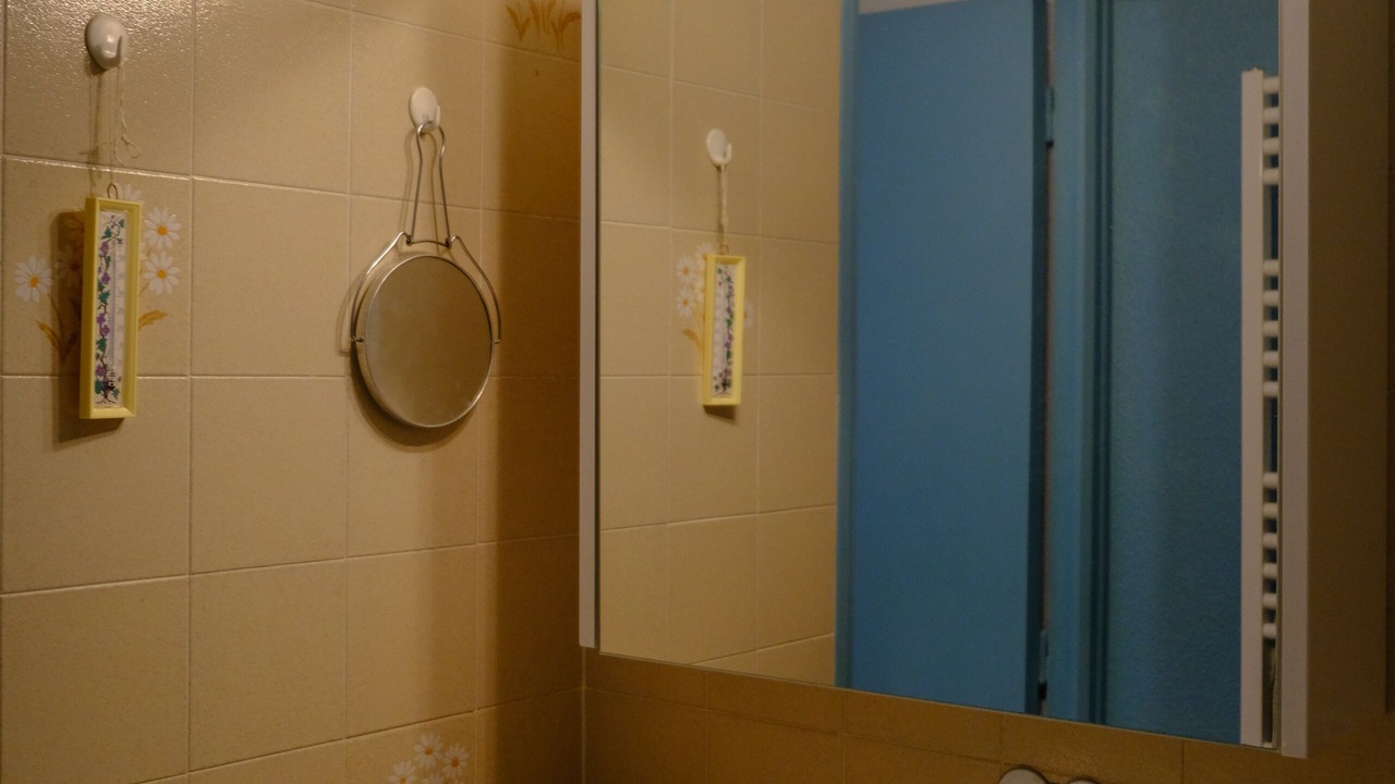 Photo of Bathroom in Savines-le-Lac