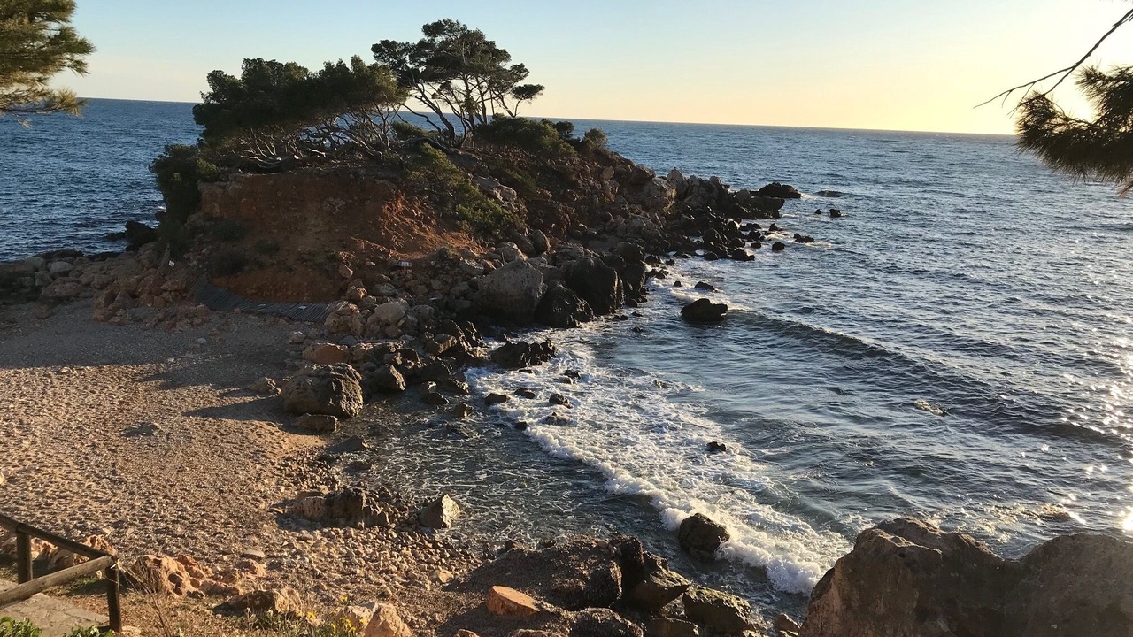 Photo of Others in Bandol