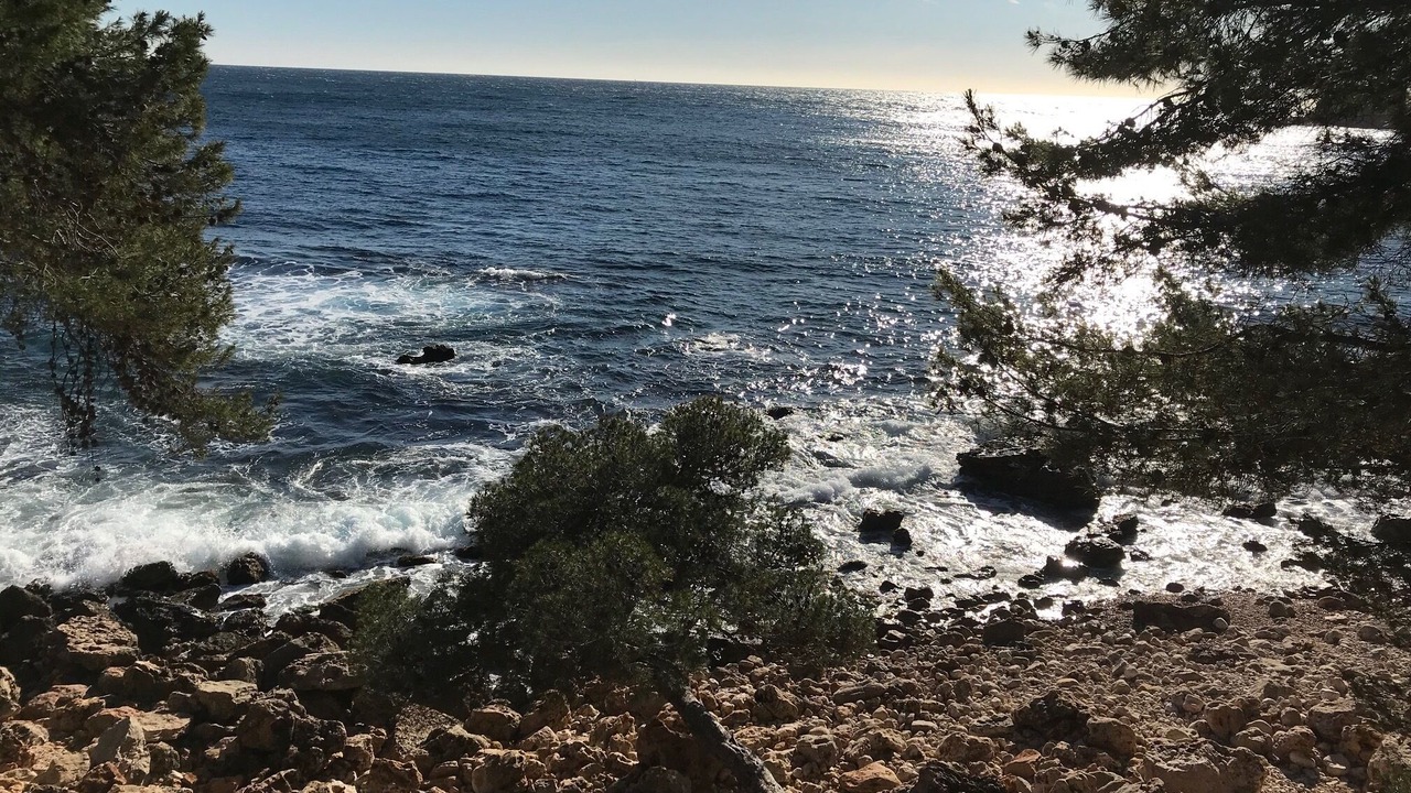 Photo of Others in Bandol