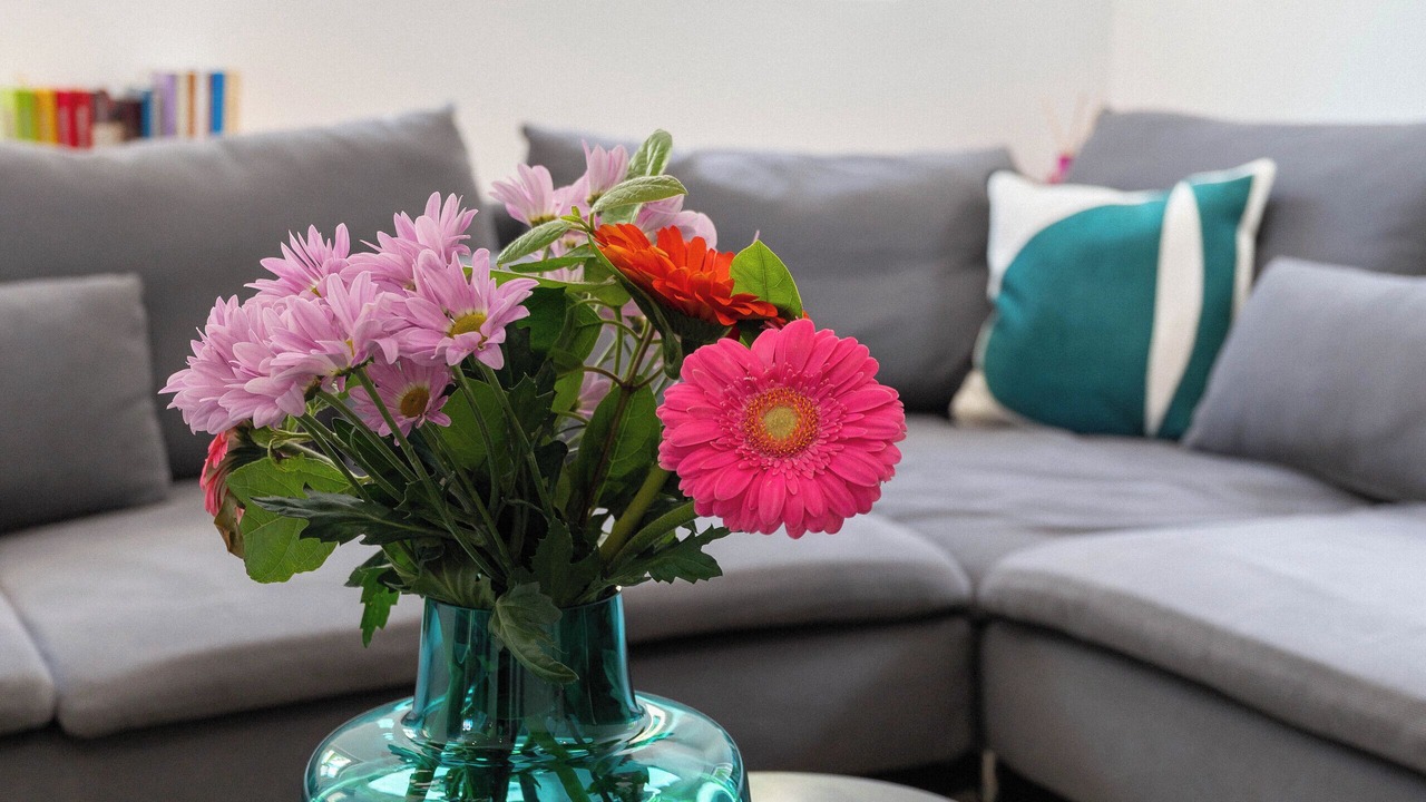 Photo of Livingroom in Mimet