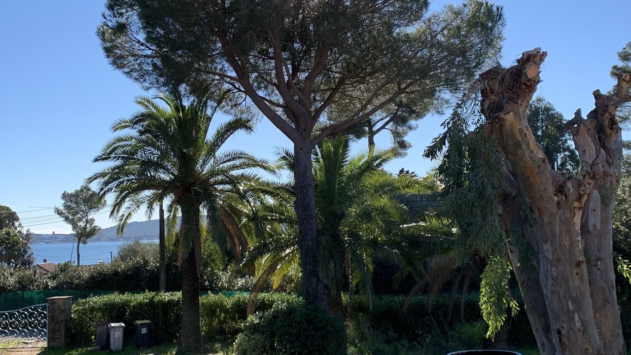 Photo of Outdoor in Guerrevieille