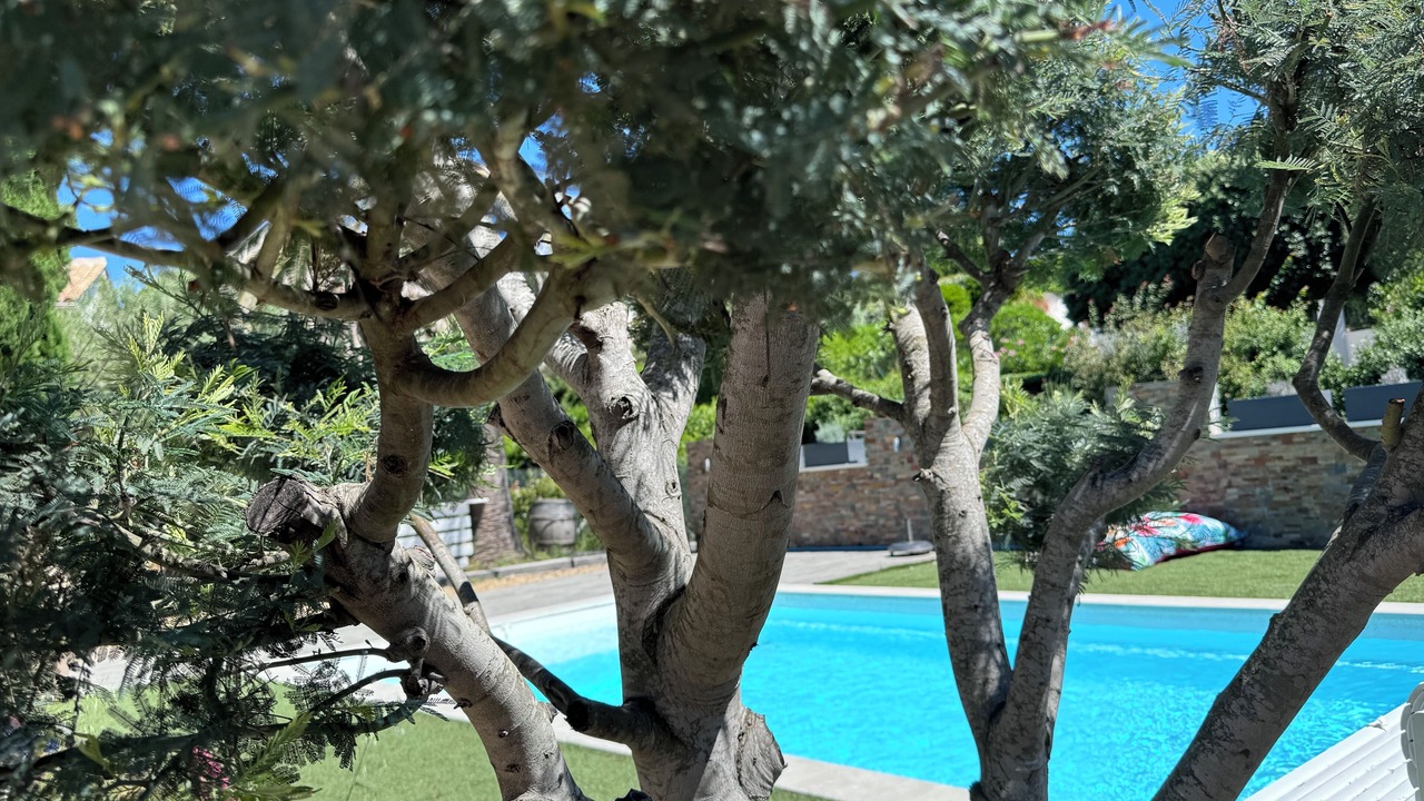 Photo of Outdoor in Guerrevieille
