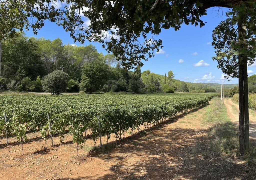 Photo of Outdoor in Lorgues