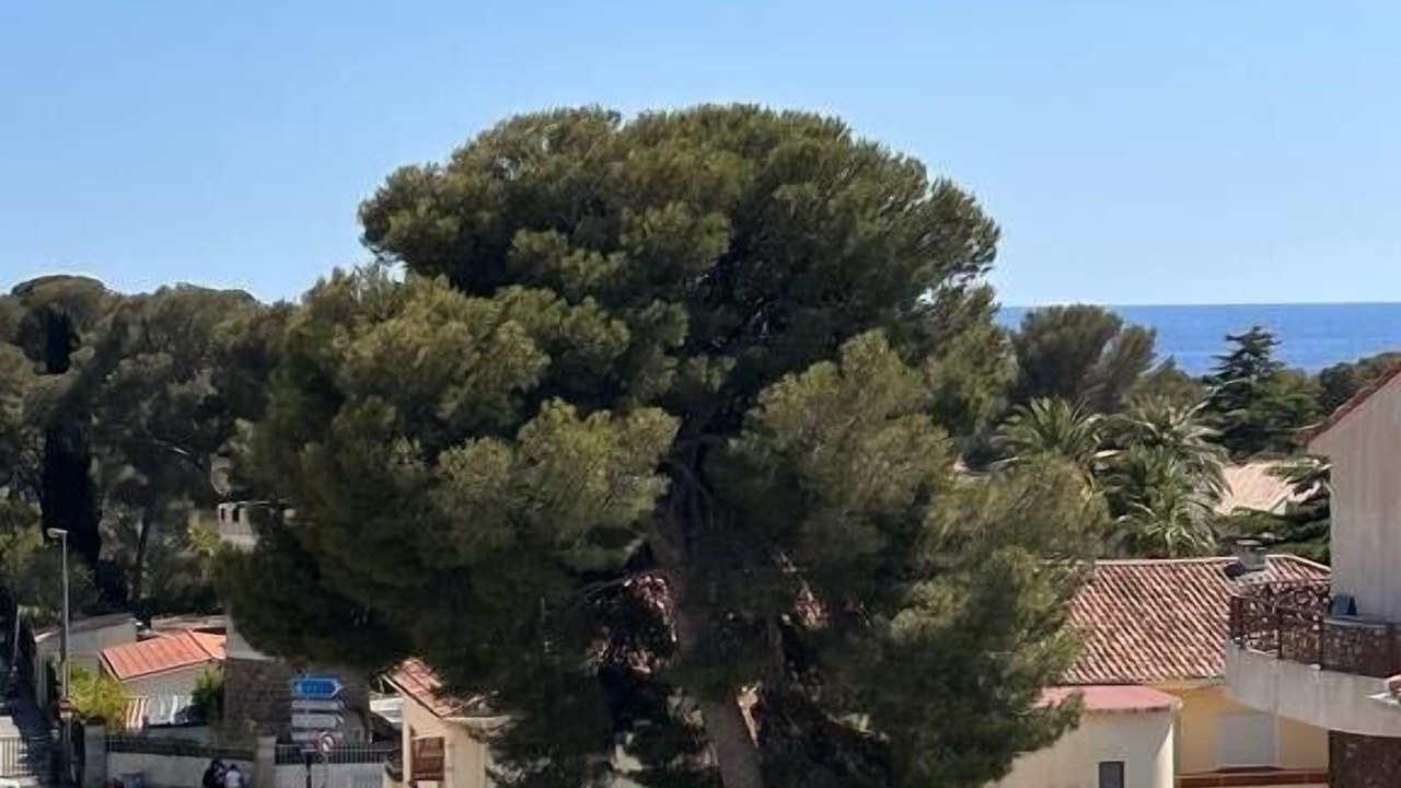 Photo of Others in Boulouris-sur-Mer
