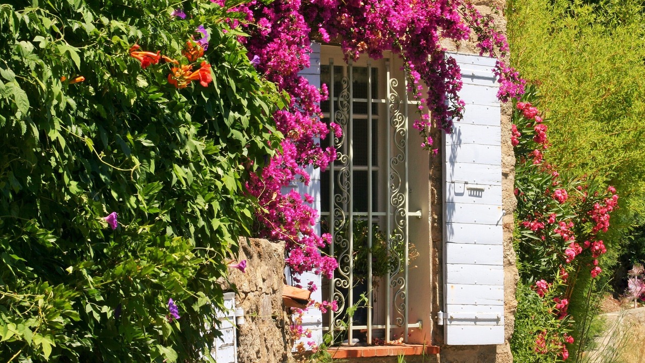 Photo of Outdoor in Plan-de-la-Tour