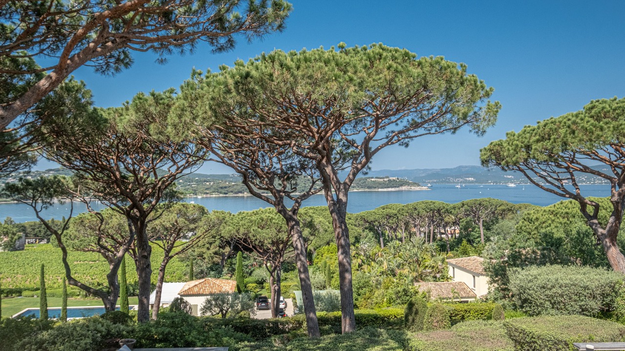 Photo of Others in Saint-Tropez