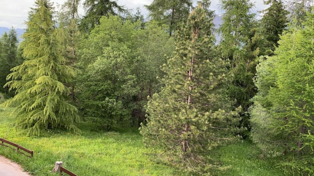 Photo of Outdoor in Saint-Etienne-de-Tinee