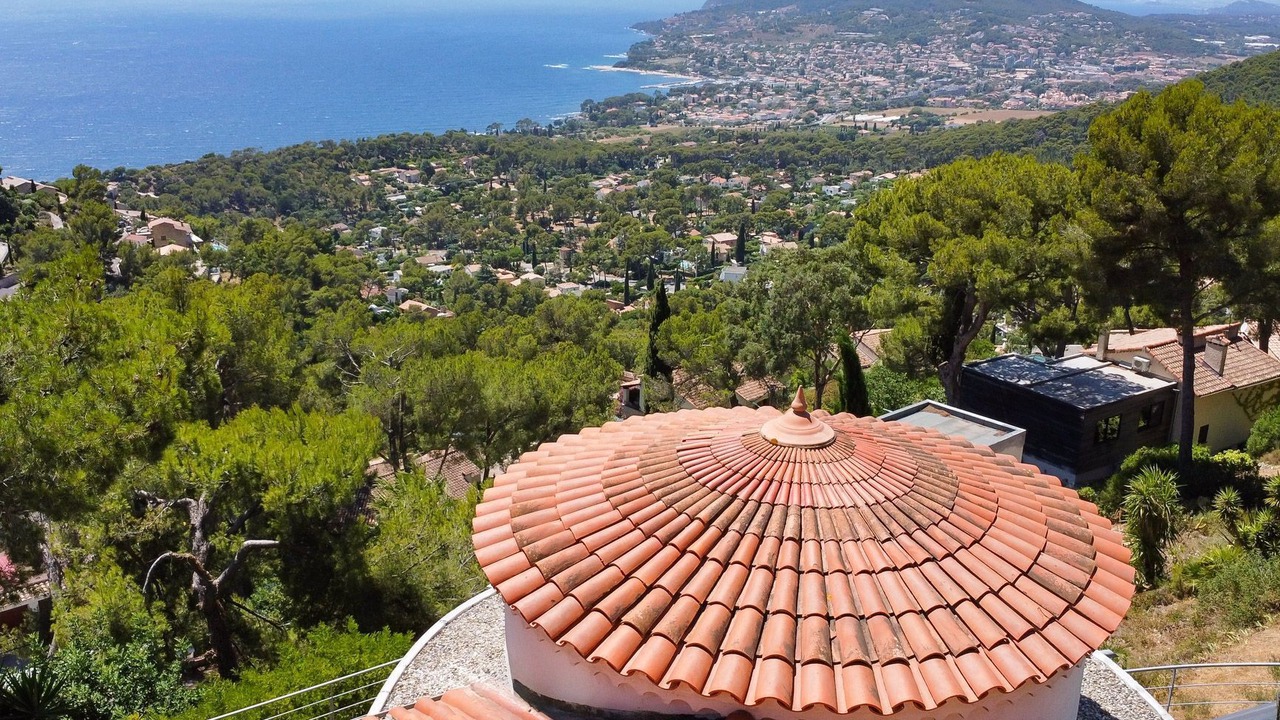 Photo of Others in Hyeres