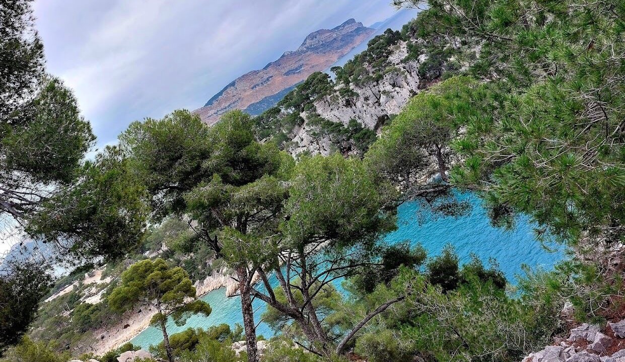 Photo of Outdoor in Le Pharo