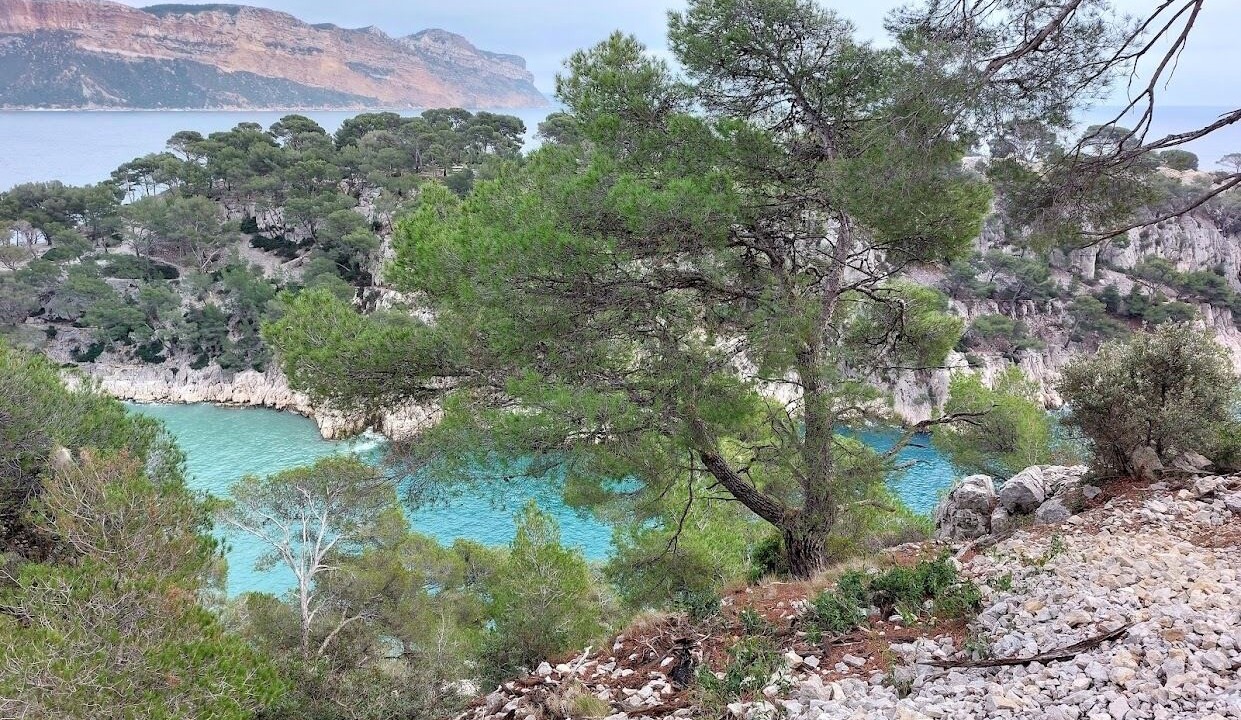 Photo of Outdoor in Le Pharo