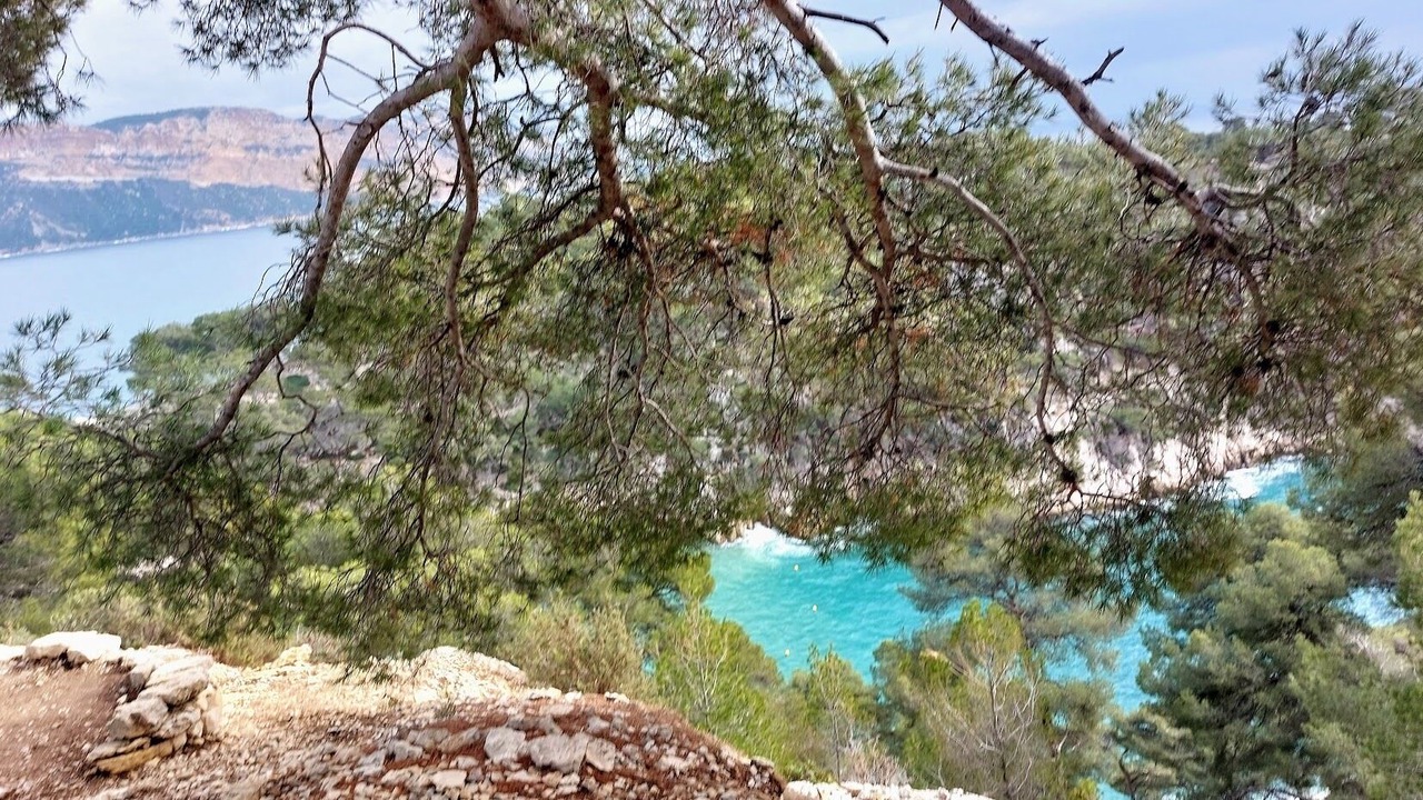Photo of Outdoor in Le Pharo