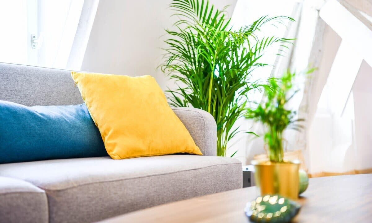 Photo of Livingroom in Prefecture