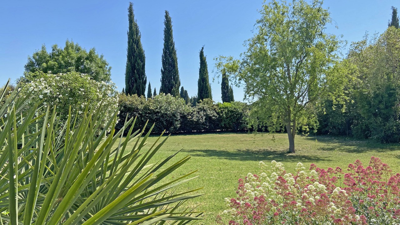 Photo of Outdoor in Maillane
