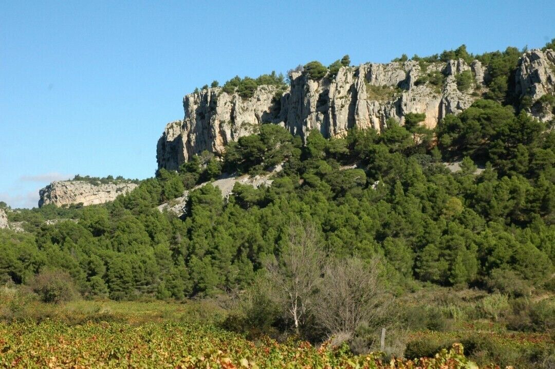 Photo of Others in Salleles-d'Aude