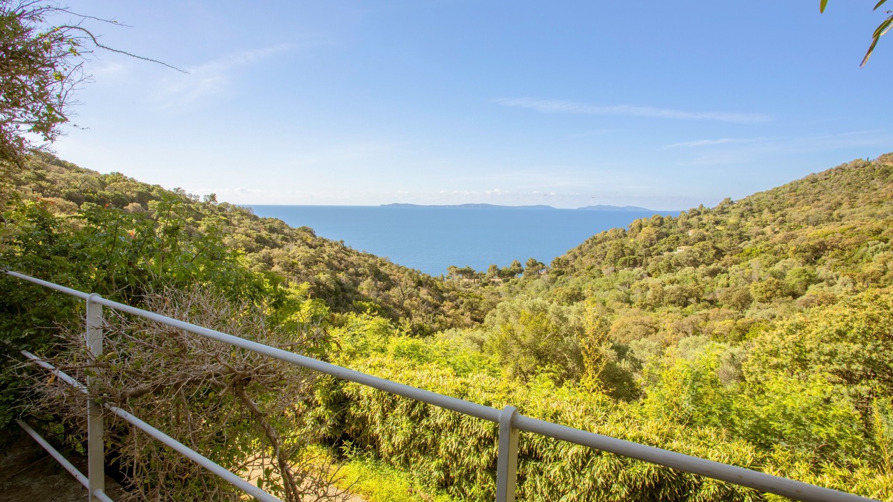 Photo of Others in Cavalaire-sur-Mer