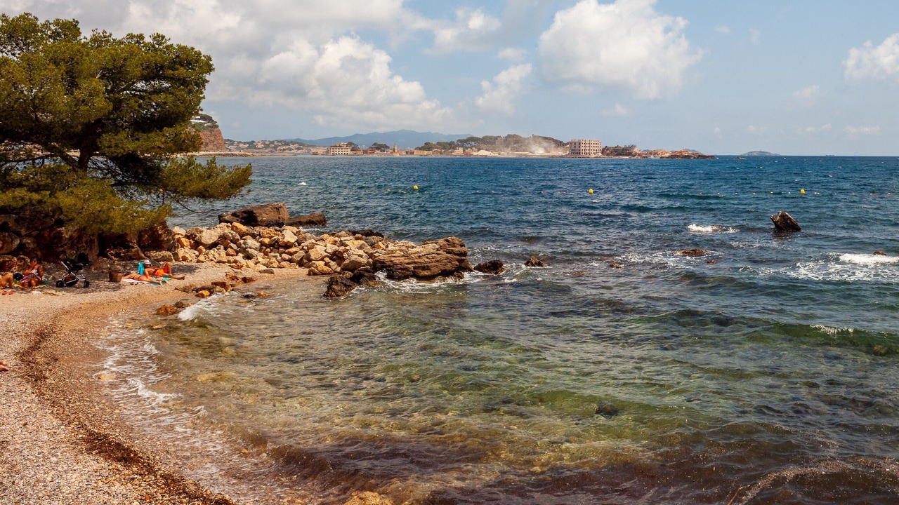 Photo of Others in Bandol