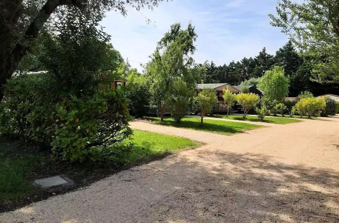 Photo of Outdoor in Paluds de Noves
