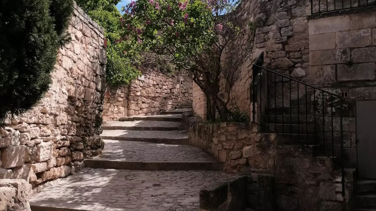 Photo of Outdoor in Paluds de Noves