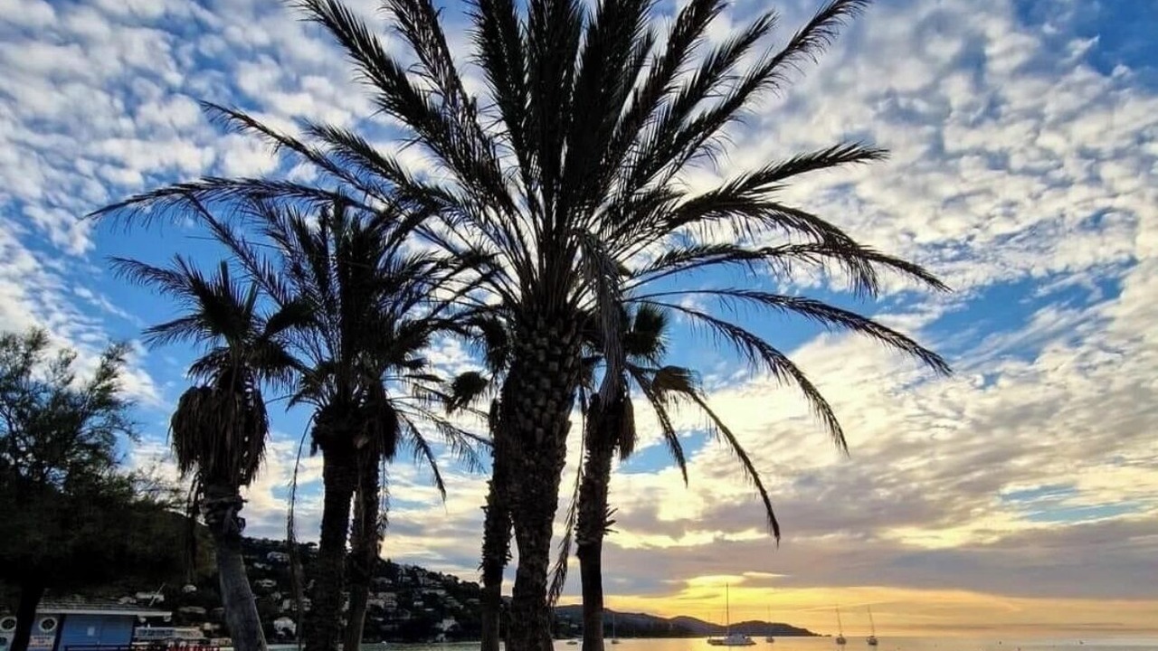 Photo of Others in Le Lavandou