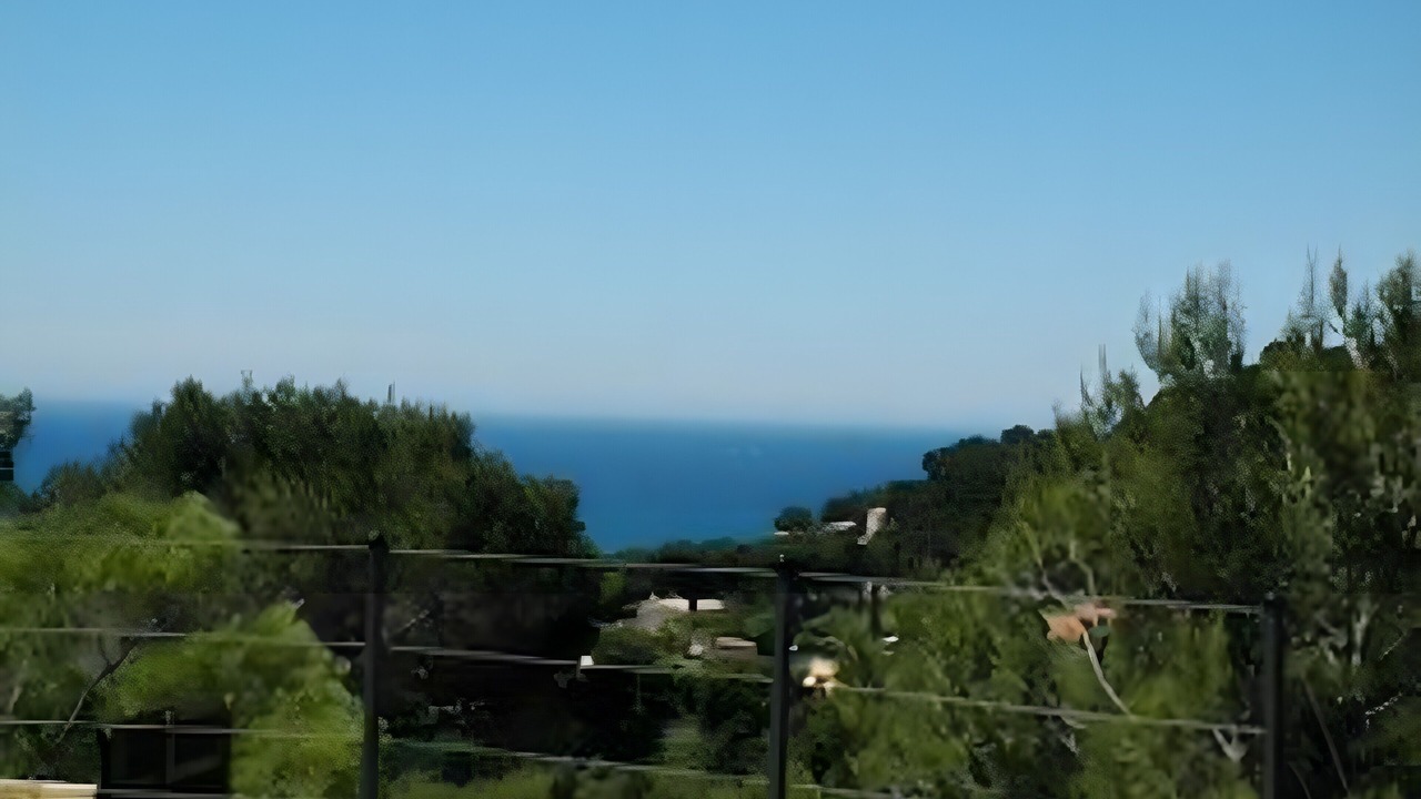 Photo of Others in Hyeres