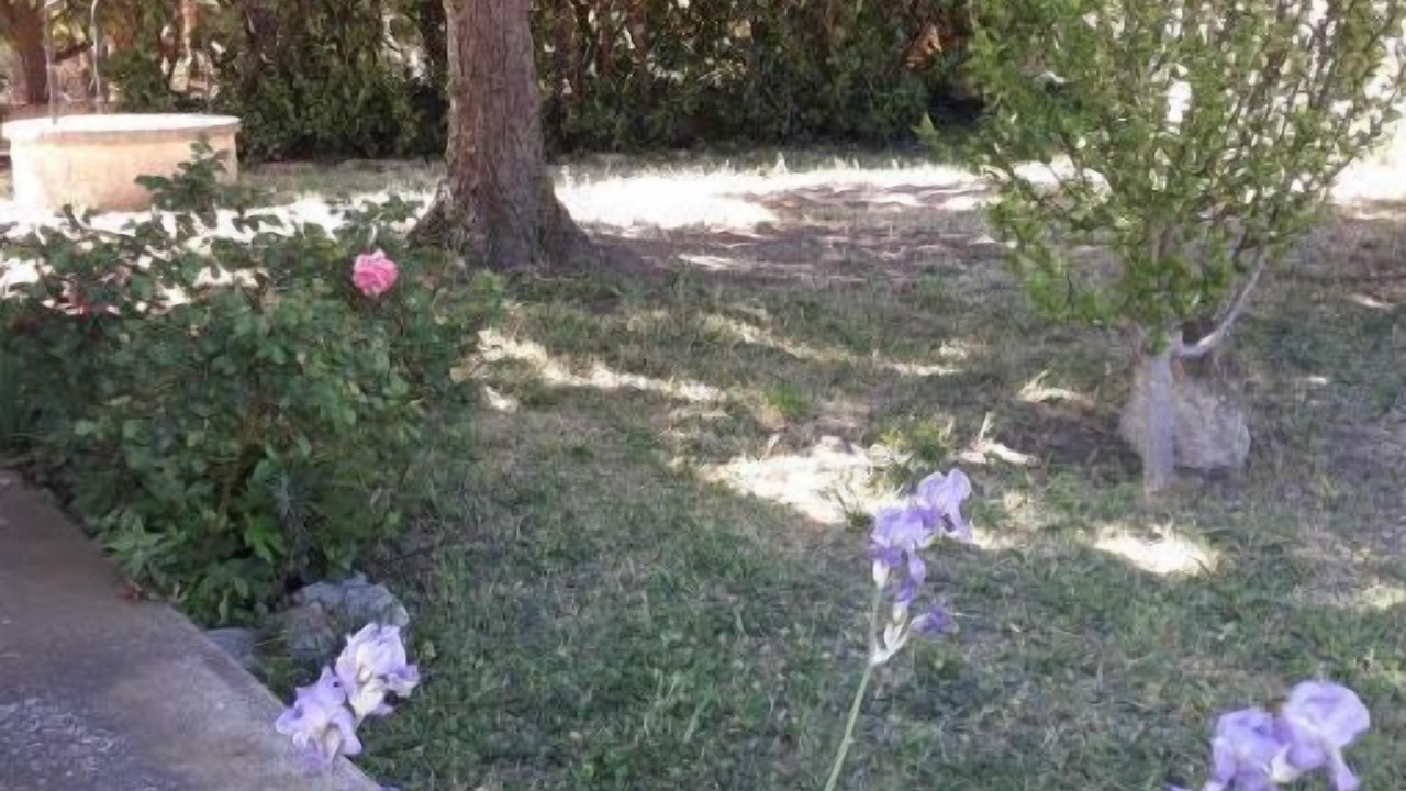 Photo of Outdoor in Entressen