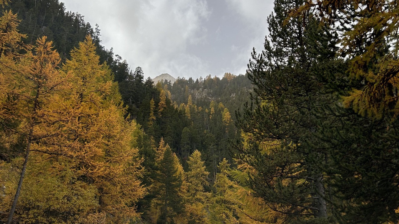 Photo of Others in Arvieux