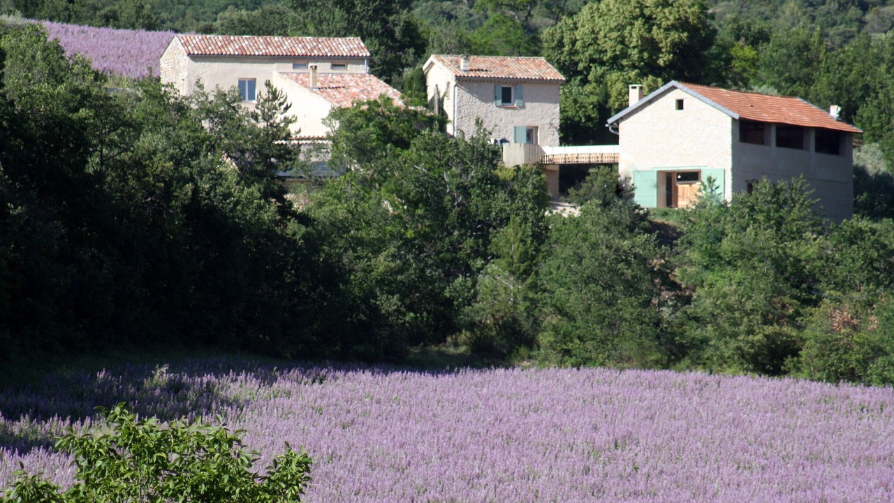 Photo of Outdoor in Bras-d'Asse