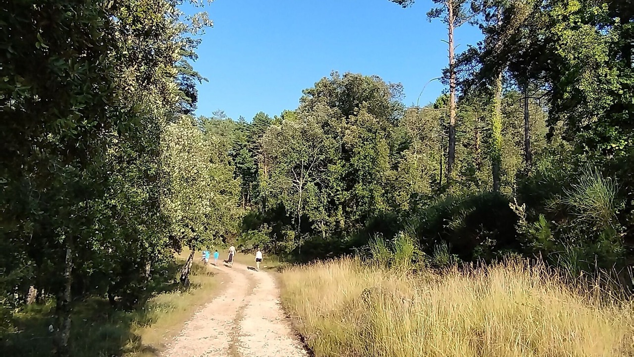 Photo of Outdoor in Tourrettes