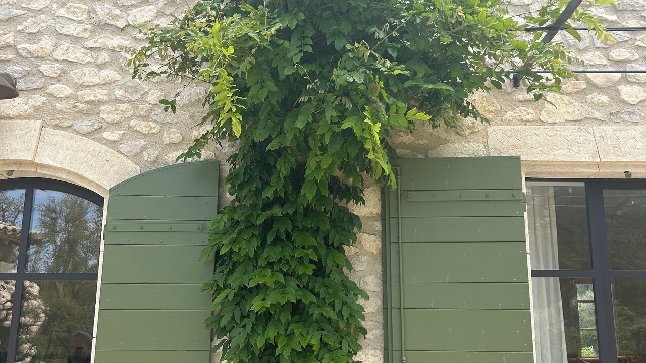 Photo of Outdoor in Eygalieres